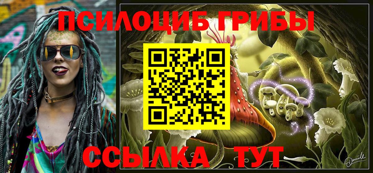 Псилоцибиновые грибы прущие грибы Лениногорск