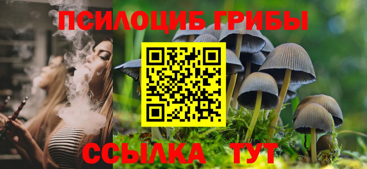 Галлюциногенные грибы Magic Shrooms  Вход с VPN  Лениногорск 